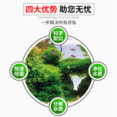 鱼缸过滤材料硝化细菌屋水族箱陶瓷环火山石活性炭过滤桶鱼缸滤材