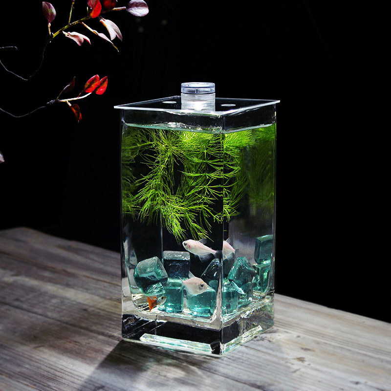 奇艺家居方形加厚超白玻璃鱼缸桌面装饰花瓶斗鱼缸带盖子水培花器