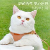 狗狗牵引绳猫咪宠物胸背带中小型犬遛狗背心式 比熊泰迪网红牵狗绳