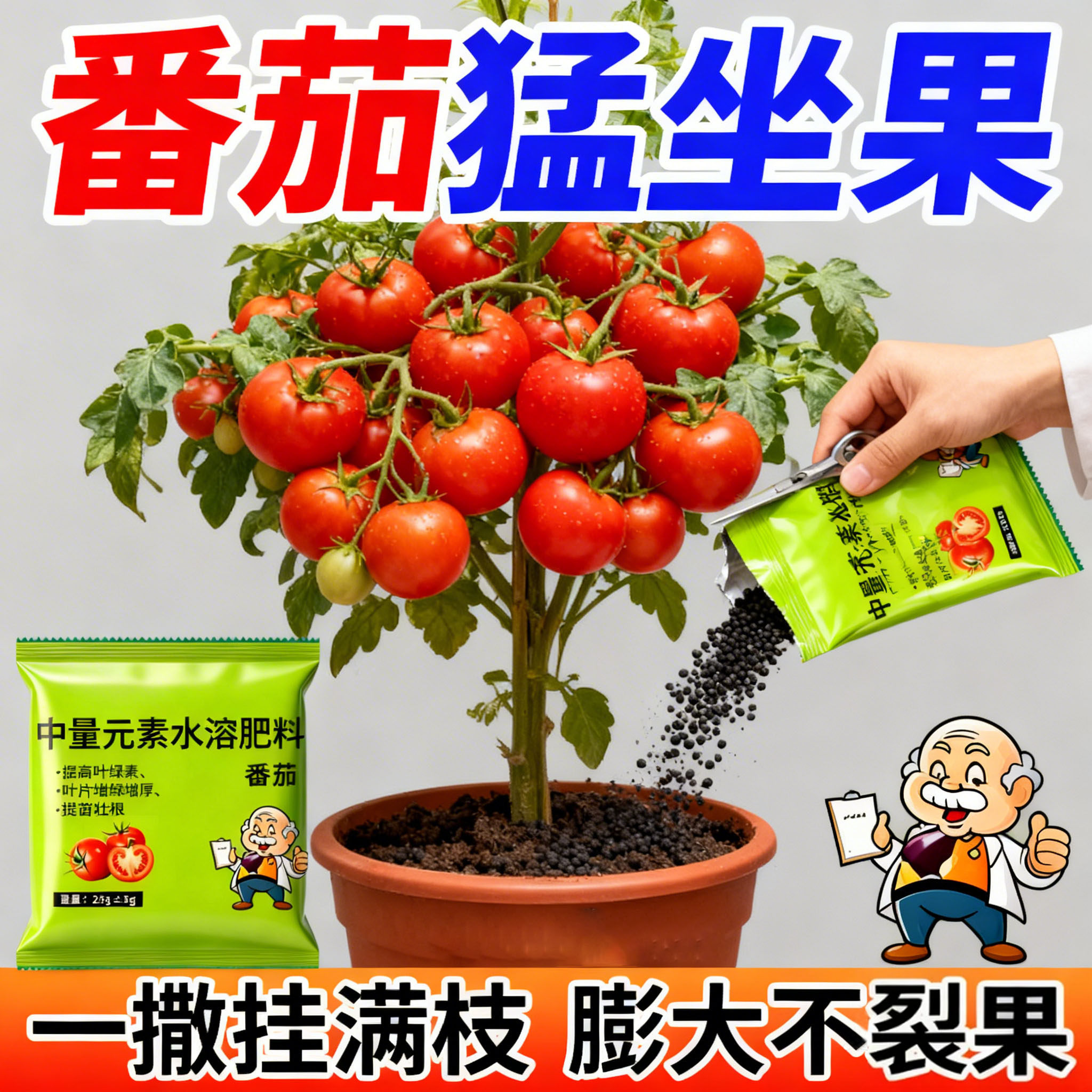 番茄专用肥西红柿专用肥瓜果