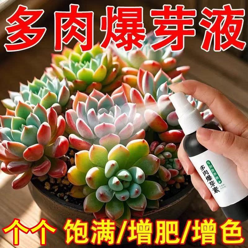 多肉营养液爆芽素生根发芽