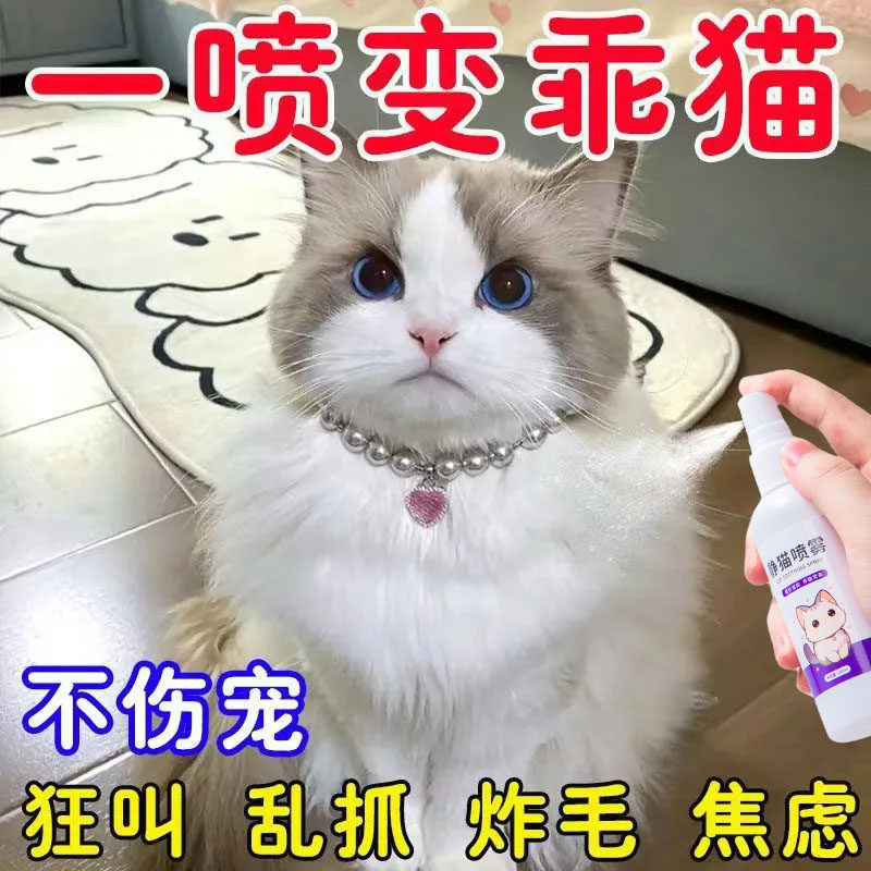 猫咪安抚剂防应激安抚喷雾宠物托运搬家猫性格暴躁乱抓咬静猫喷雾