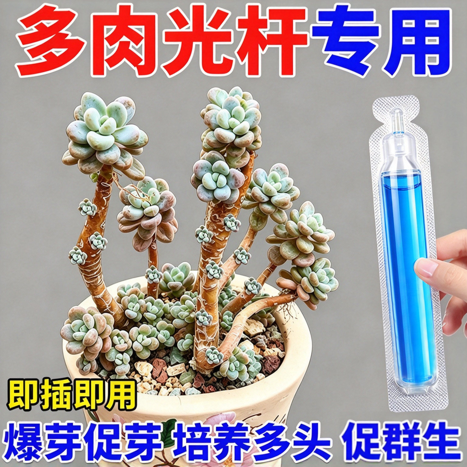 多肉专用爆芽素免稀释营养液肉肉肥料防徒长增色增艳生长生根壮苗