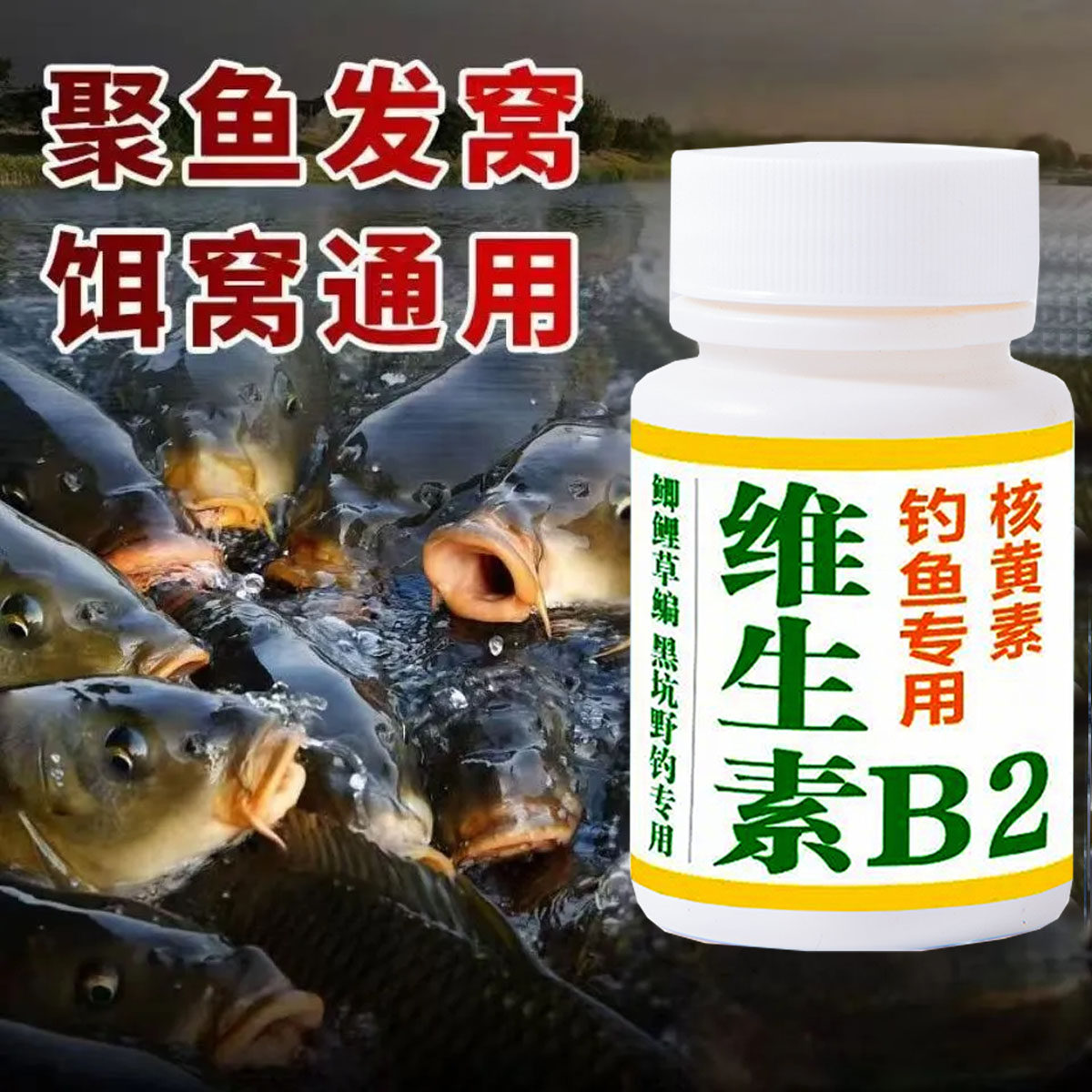 野钓正品维生素b2钓鱼专用诱鱼剂诱食添加剂鲫鱼鲤鱼Vb2鱼饵