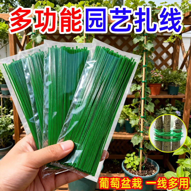 园艺扎带捆绑带植物塑形丝爬行藤曼固定器铁丝外包塑防腐蚀拥扎线
