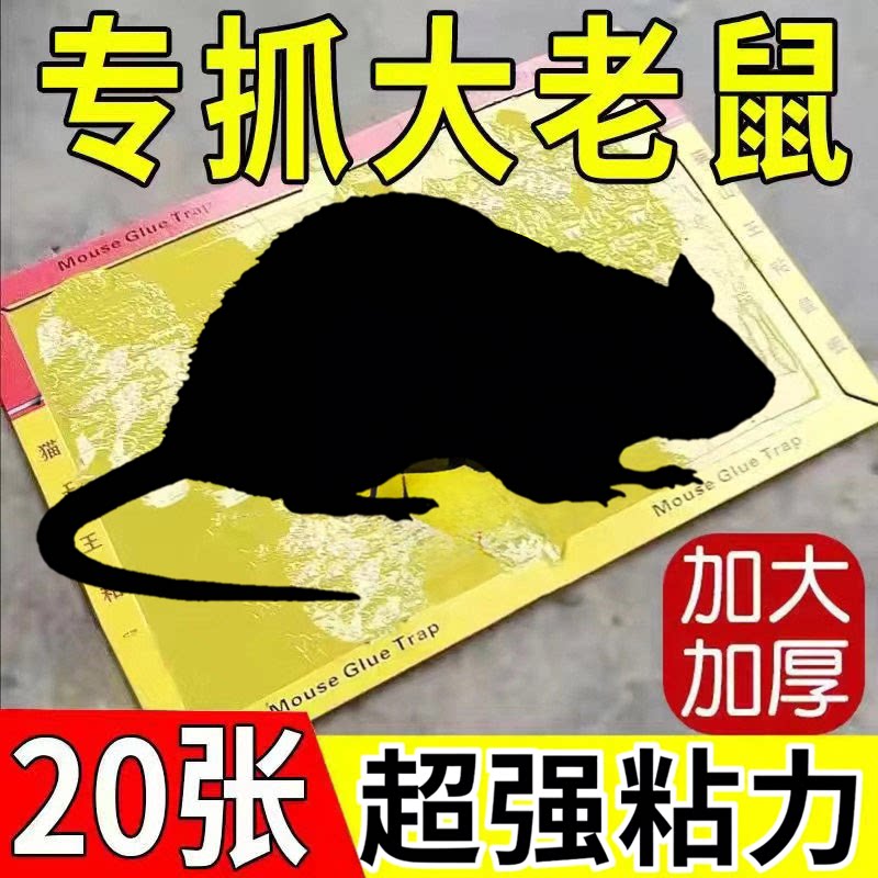强力粘鼠板抓粘大老鼠贴