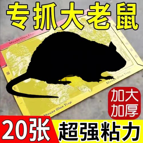 强力粘鼠板抓粘大老鼠贴