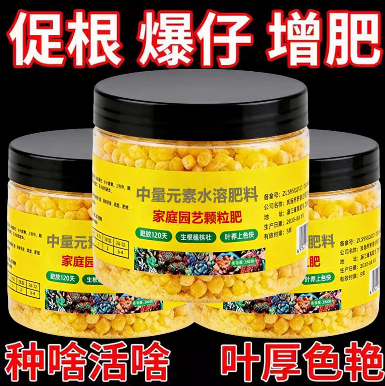 家庭园艺控释肥多肉肥料专用肥多肉控释肥增肥多肉营养液颗粒肥