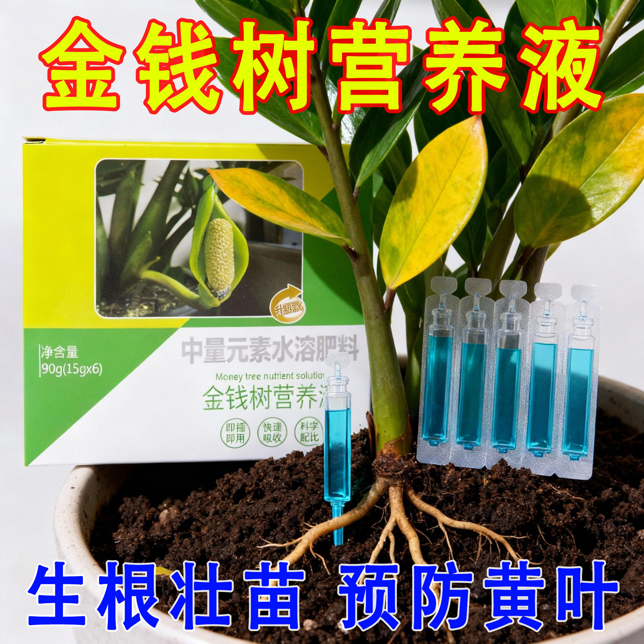 【猛窜芽】金钱树营养液专用肥料黄叶急救叶子发黄烂根爆芽营养液