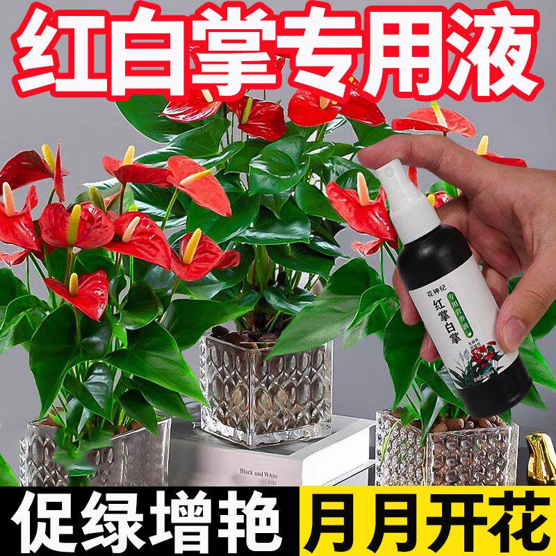 红掌专用免稀释营养液