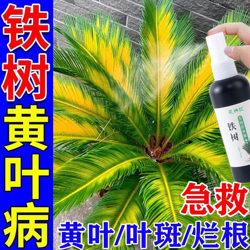 铁树专用肥料防黄叶病烂根营养液叶子发黄一喷绿室内盆栽叶面肥