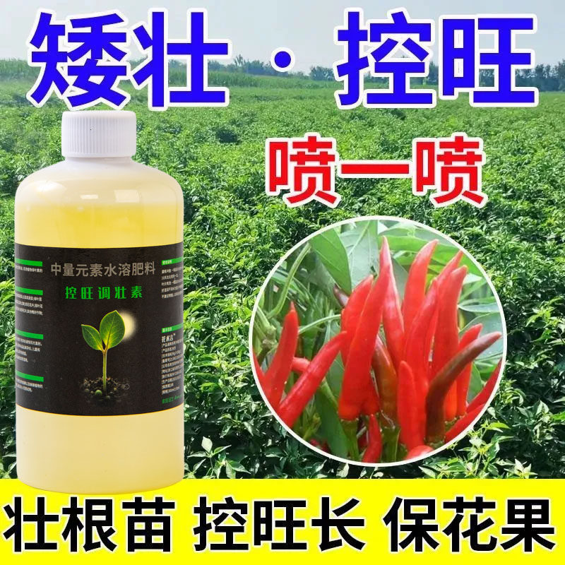 控旺调壮素果树蔬菜辣椒