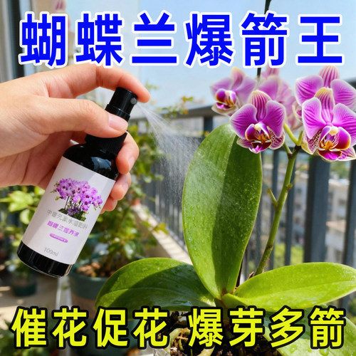 有机肥蝴蝶兰专用防黄叶营养液