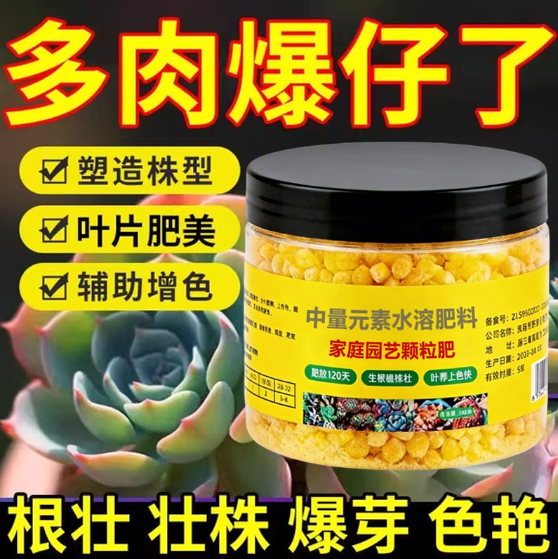 多肉控释肥爆盆增肥多肉营养液