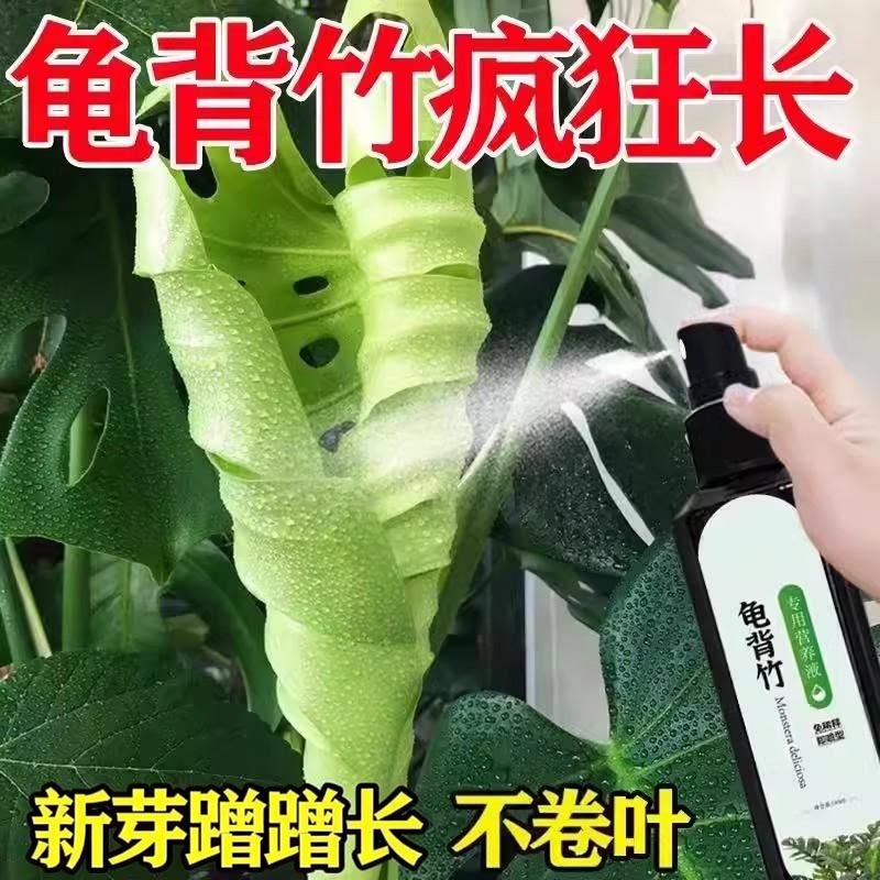 龟背竹营养液免稀释喷施