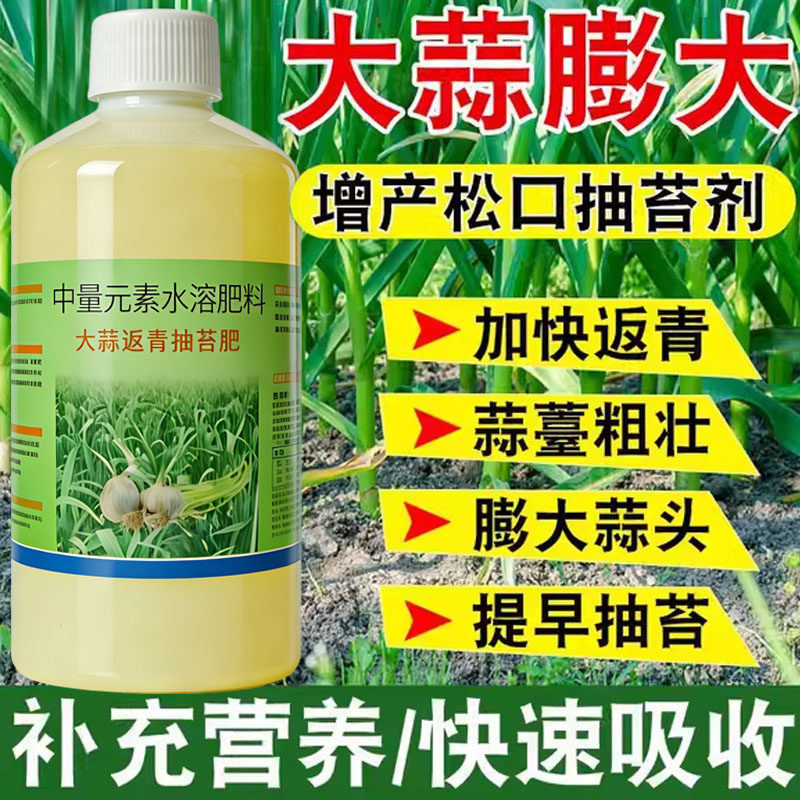 大蒜专用肥蒜苗抽苔松口剂