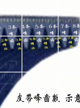 中景1740E中景74单色机印刷机多沟带主传动皮带6-1500/PL590INCHe