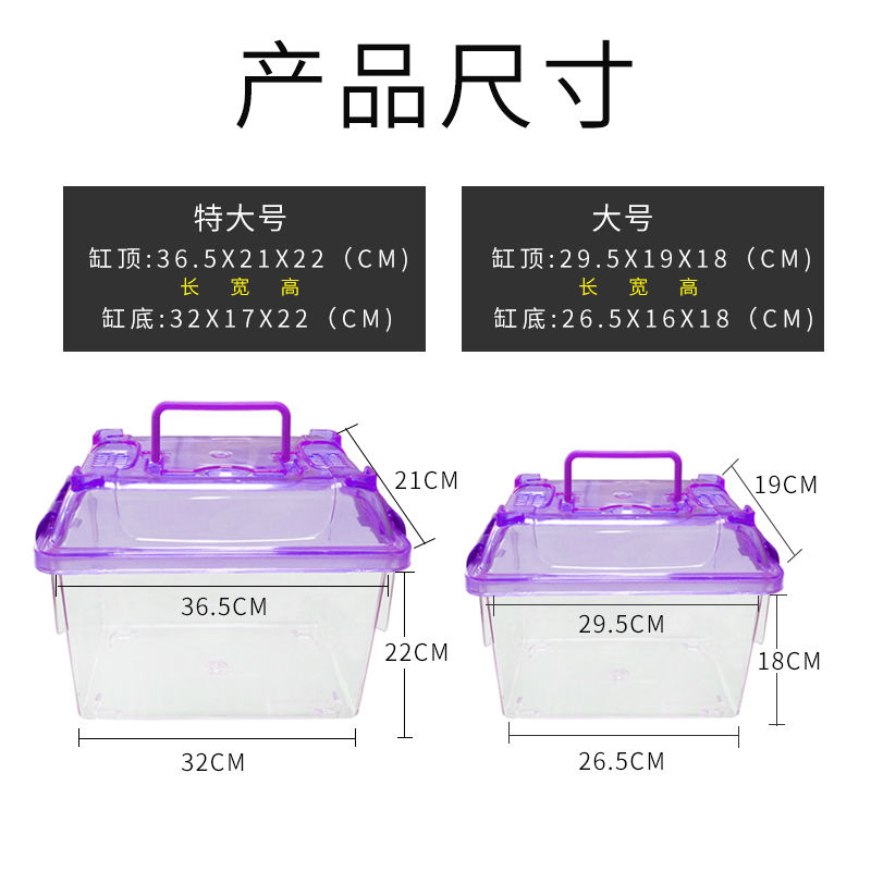 极速六角恐龙鱼的鱼缸桌面家用z高透明大容量蝾螈角蛙观赏乌龟缸
