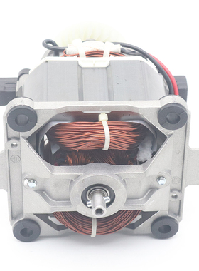 极速威利宝980象好1060t蓝卡斯118豆浆机破壁机料理机电机马达转