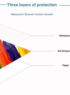 极速Color Ink and Paper Set ComBpatible for Canon Selphy Com