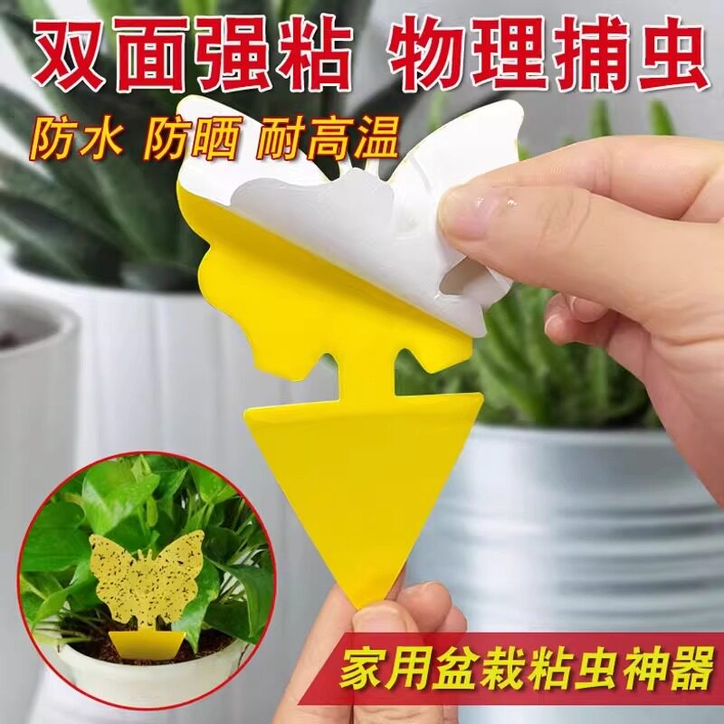 双面黄板粘虫板家用大棚诱果蝇