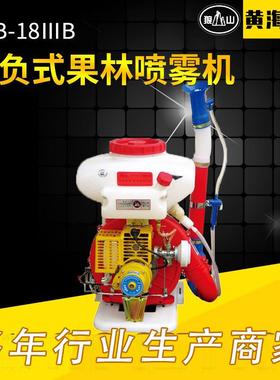 WFB-18ⅢB果园打药机供应背负式农用果园喷雾喷粉机动力喷雾器