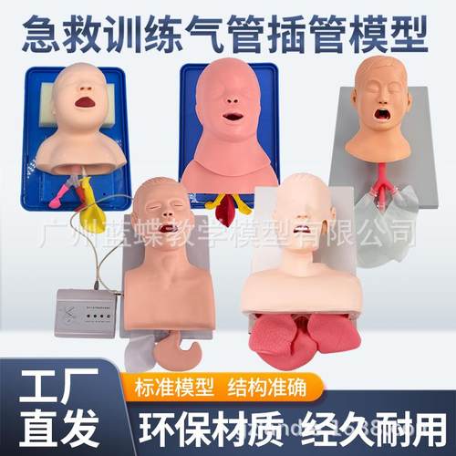 成人电子人体气管插管训练模型带牙齿受压报警口鼻咽气道管理训练