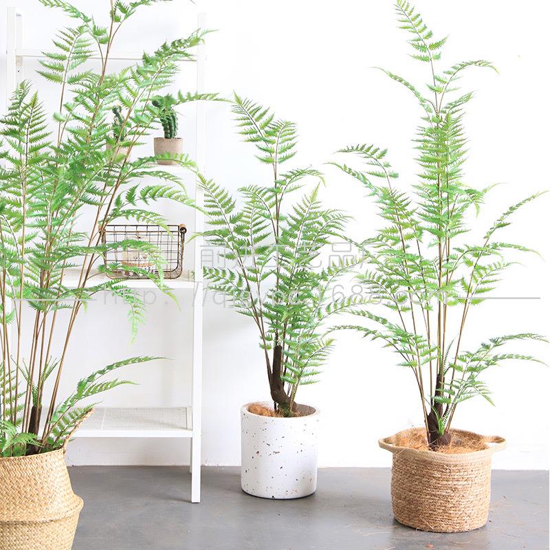 氧气森林植物盆栽锯叶蕨绿植工程软装陈列蕨树盆景森系仿真盆栽