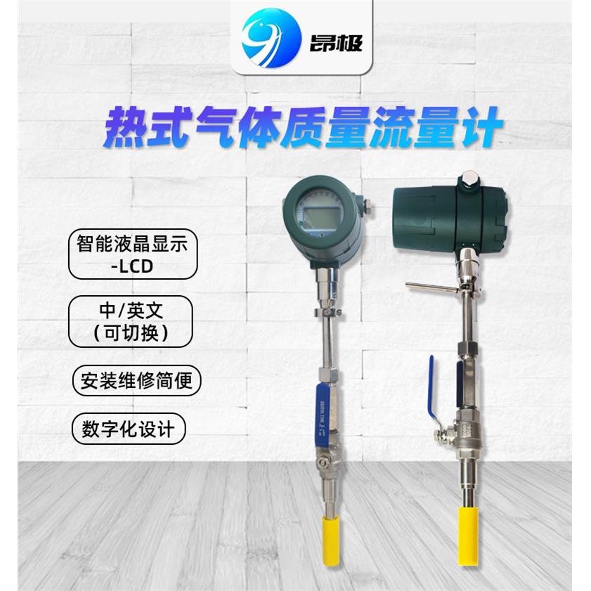 插入式热式气体质量流量计PT300或PT1000