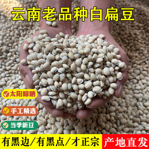 云南高山老品种白扁豆