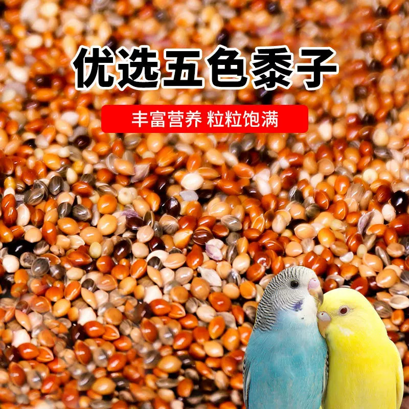 虎皮牡丹玄凤中小型鸟粮鹦鹉鸟食饲料混合粮谷子带壳五色黍子仓鼠