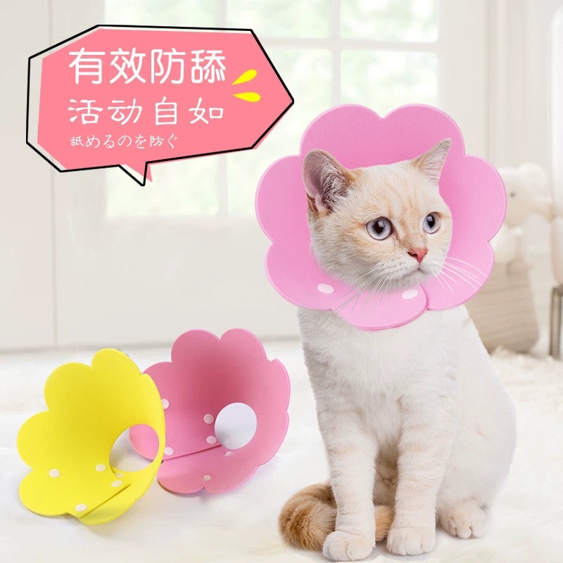 猫咪伊丽莎白圈绝育项圈防舔咬狗脖套耻辱宠物头套小型犬软圈用品