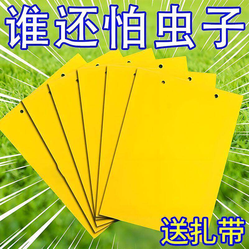 黄板双面粘虫板蓟马纸贴黄蓝飞虫小黑飞果园沾果蝇诱捕器粘板大棚