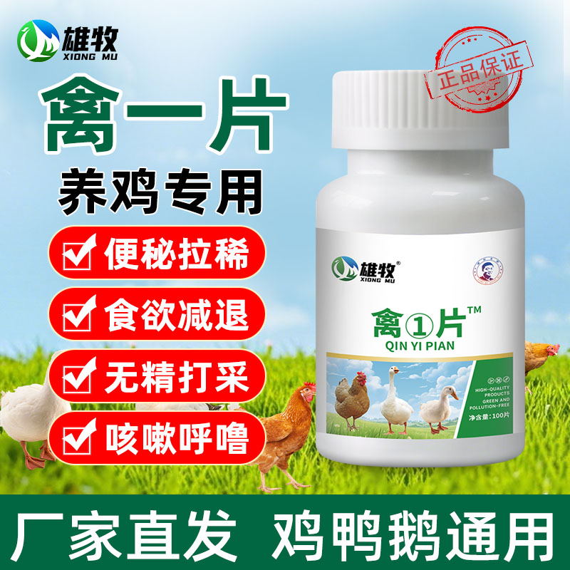 雄牧禽一片养鸡呆立闭目拉稀绿便