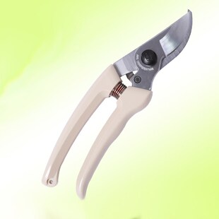 园艺用品剪刀营养土通用颗粒肥洒水喷壶种植椰砖土块花卉种植花盆