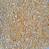 10斤新鲜纯绿色玉米碴颗粒破碎瓣 鸽子家禽鸡鸭鹅猪专用营养饲料