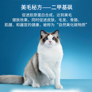 嘉传全价阶段成猫幼猫美毛二甲基砜无谷E85高蛋白增肥发腮猫主粮