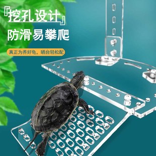圆形陶瓷缸乌龟晒台爬台挂钩爬架亚克力晒背台大乌龟爬梯爬坡浮岛