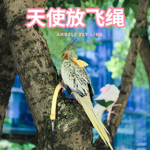 鹦鹉放飞绳超轻背带式 不伤脚玄凤虎皮鸟外出遛鸟牵引飞行溜鸟神器