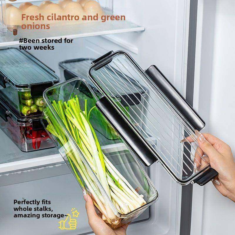 【品牌正品】香菜大葱小葱保鲜盒冰箱长方形芫荽葱姜蒜收纳盒鸡蛋,收纳整理,食物收纳盒,淘宝优惠券,粉丝福利购,淘宝优惠卷