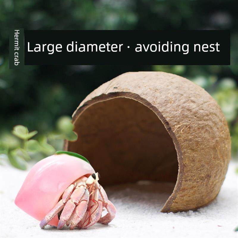 寄居蟹庇护屋~大小菠萝屋椰子壳自然庇护屋景观草莓碧琪城堡,宠物/宠物食品及用品,造景/装饰,淘宝优惠券,粉丝福利购,淘宝优惠卷