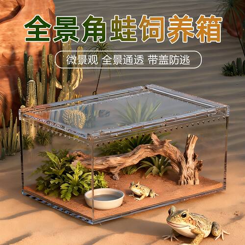 爬宠饲养缸透气透明乌龟寄居蟹爬宠箱客厅生态造景带盖角蛙庭院