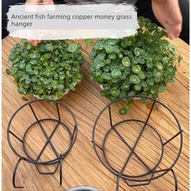 天猫正品鱼缸水培挂篮古法养鱼铜钱草固定植物壁挂架圆形缸绿植造图片