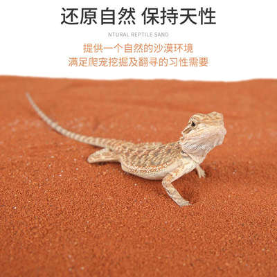 瑞皮Reptizoo爬虫沙爬宠垫材钙沙龟鬃狮蜥蜴垫料守宫饲养箱造景