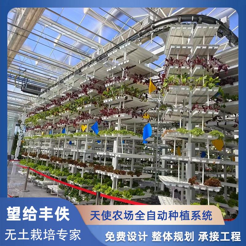 无土栽培蔬菜全套设备天使垂直农场水培架种植槽大棚多层立体种植