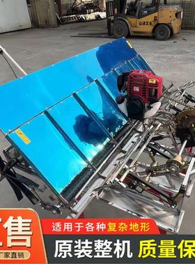 2ZS-66238手扶插秧机四行六行制种插秧机现代农业机械多行插秧机