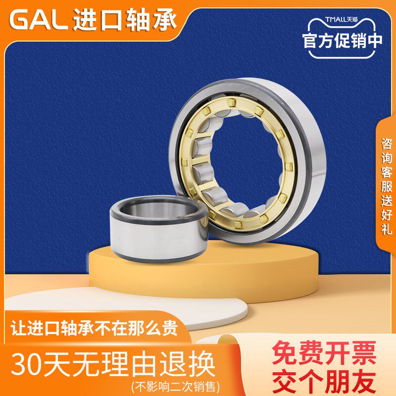 日本GAL进口圆柱滚子轴承RN309 RN310 RN311 RN312 RN313EM