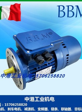 BBM刹车电机REBM63B4 71B4 80B4 90L4 100LA4 112M4 132MA4 FEBM