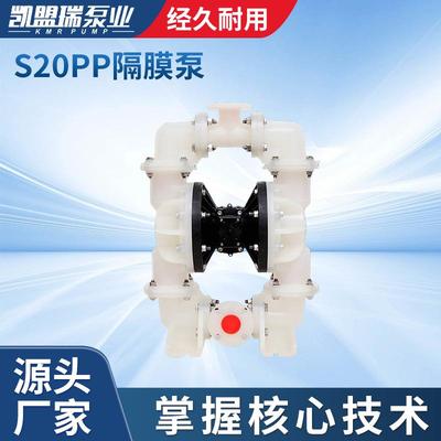 S20PP塑料隔膜泵厂家供应S20B3P2PPS100隔膜泵往复泵工程隔膜泵