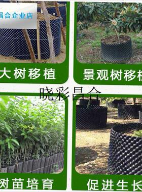 控根器植物植树专用塑r料高培土围树板园艺盆景围栏加厚限根阻根l